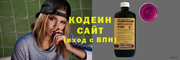 дживик Верхний Тагил